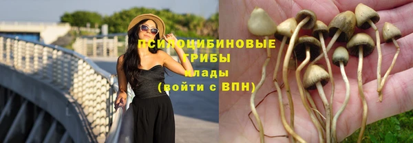 дживик Остров