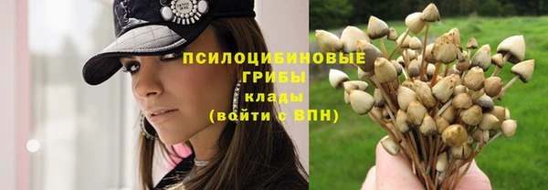 бошки Осташков