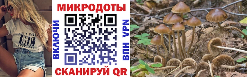 Галлюциногенные грибы ЛСД Купить закладки Сафоново